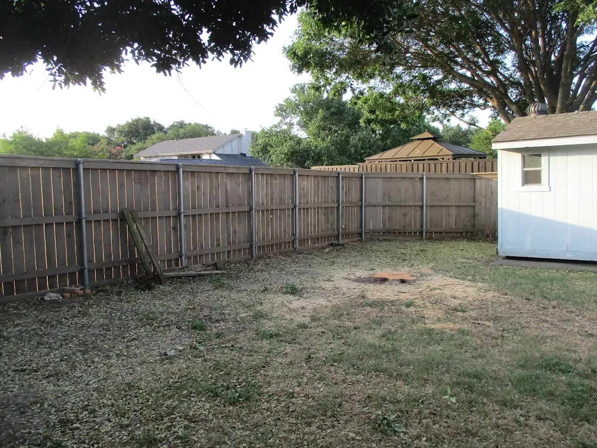 Cleared yard after professional tree removal in Westmoreland City